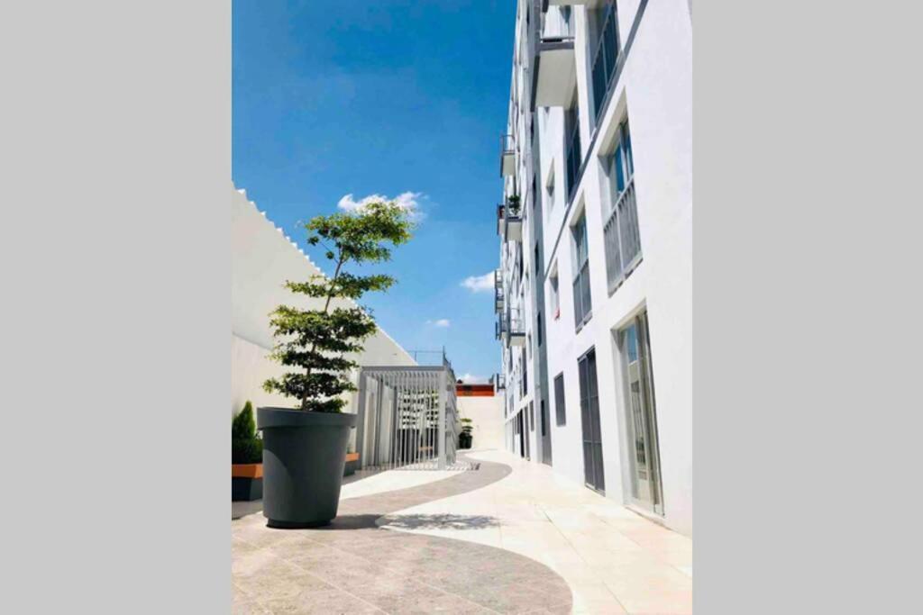 Апартаменты Departamento *Mundo Viajero* Гвадалахара Экстерьер фото